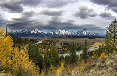 Reptiles Royalty-Free and Rights-Managed Images - Snake River Overlook  XL by Jennifer Grover