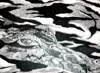 Reptiles Drawings - Sneaky Crocodile by Kathleen Allen