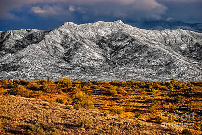 Mark Myhaver Photo Rights Managed Images - Snow Dusted 09 Royalty-Free Image by Mark Myhaver