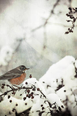 Animals Mixed Media - Snowbird by Trish Tritz