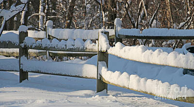 Frank Sinatra - Snowy Fence by Jack Schultz
