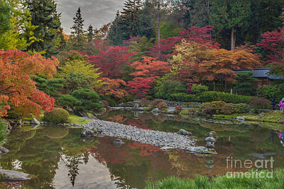 Irish Leprechauns - Soaring Fall Colors in the Arboretum by Mike Reid