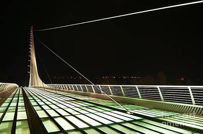 Reptiles Royalty-Free and Rights-Managed Images - Space Bridge - The unique Sundial Bridge in Redding California. by Jamie Pham
