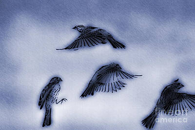 Modern Abstraction Pandagunda - Sparrows flying artistic by Dan Friend