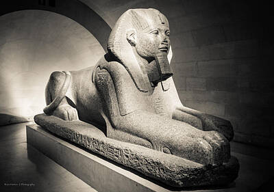 Superhero Ice Pop Rights Managed Images - Sphinx of Tanis Royalty-Free Image by Ross Henton