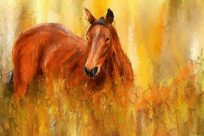 Animals Royalty-Free and Rights-Managed Images - Stallion in Autumn - Bay Horse Paintings by Lourry Legarde