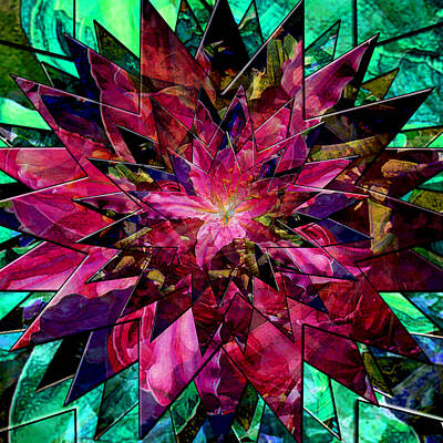 Lilies Digital Art - Star Gazer Lily Burst by Michele Avanti