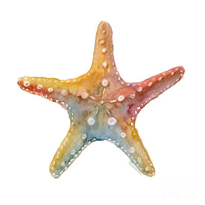 Beach Painting Rights Managed Images - Starfish Royalty-Free Image by Amy Kirkpatrick