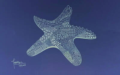Beach Drawings - Starfish by Debbie McIntyre