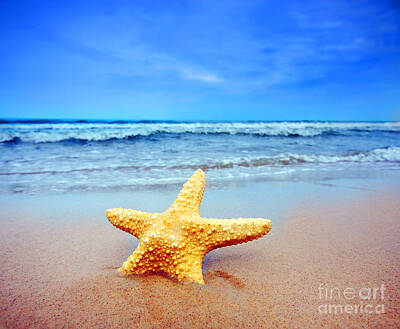 Irish Flags And Maps - Starfish on a beach   by Michal Bednarek