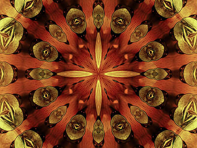 Steampunk Photos - Steampunk Kaleidoscope 3 by Shawna Rowe