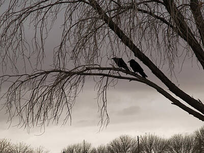 Staff Picks Judy Bernier Royalty Free Images - Still Life with Crows Royalty-Free Image by Parker Bradley
