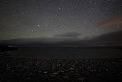 Sultry Plants Rights Managed Images - Stony Beach with Stars Royalty-Free Image by Pekka Sammallahti