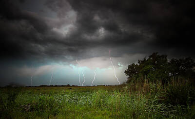 Mark Andrew Thomas Rights Managed Images - Storms in the Everglades Royalty-Free Image by Mark Andrew Thomas