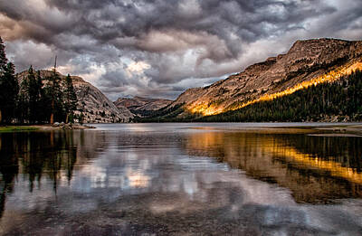 Mammals Royalty-Free and Rights-Managed Images - Stormy Sunset at Tenaya by Cat Connor