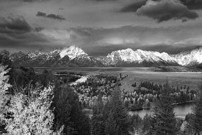 Reptiles Photo Royalty Free Images - Stormy Tetons Royalty-Free Image by Jennifer Grover