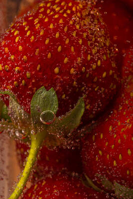Scott Listfield Astronauts - Strawberries In Soda 3 by John Brueske