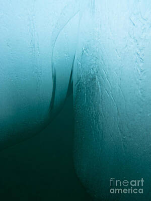 Frank Sinatra - Submerged iceberg drifting in deep blue water by Stephan Pietzko