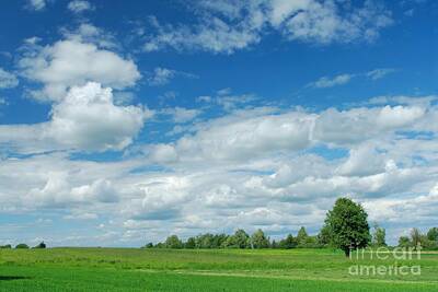 Travel - Summer Landscape with Lonely Tree by Andrzej Tokarski