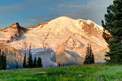 Little Mosters - Summer Meadow at Mount Rainier by Henry Lingat