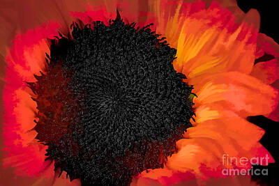 Recently Sold - Charles-muhle Photos - Sun Fire by Charles Muhle