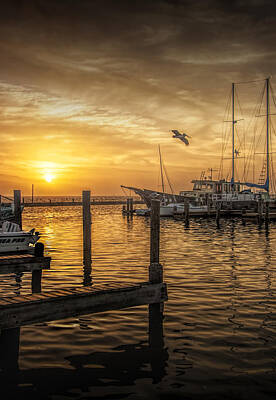 Randall Nyhof Royalty-Free and Rights-Managed Images - Sunrise at Aransas Pass Harbor with Flying Pelican by Randall Nyhof