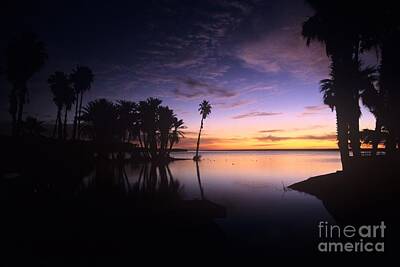 Southwest Landscape Paintings - Sunrise at San Jose del Cabo by John Harmon
