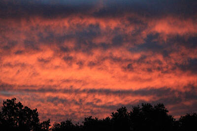 Leonardo Da Vinci - D2B6391-Sunrise colors from Our Backyard by Ed  Cooper Photography