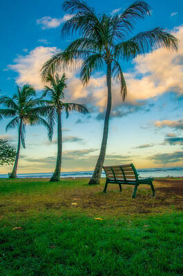 Poolside Paradise Rights Managed Images - Sunrise on Magic Island Royalty-Free Image by Marlene Lebel