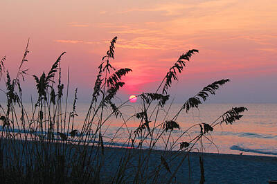 Beach Photos - Sunrise on the Beach by Beach Living Photography