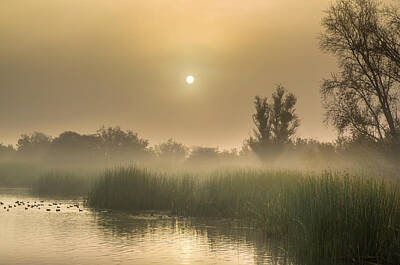 Butterflies Royalty Free Images - Sunrise Over East Bay Marsh Royalty-Free Image by Marc Crumpler