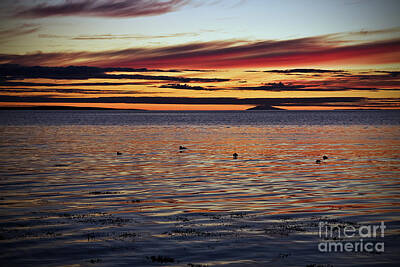 Surrealism Photo Royalty Free Images - Sunset By The Sea Iceland Royalty-Free Image by Gunnar Orn Arnason