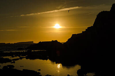 Palm Trees Royalty Free Images - Sunset in Baleal Beach Royalty-Free Image by Alexandre Martins