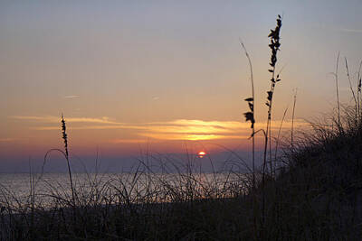 Beach Photos - Sunset Paradise by Betsy Knapp