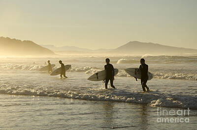 Animals And Earth Rights Managed Images - Surfers in the sunset Royalty-Free Image by Perry Van Munster