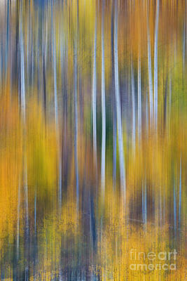 Surrealism Photos - Surreal Colorful Aspen Tree Magic Abstract by James BO Insogna