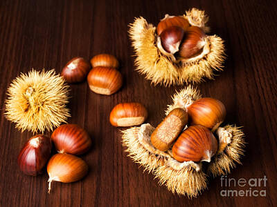 Negative Space Rights Managed Images - Sweet chestnuts Royalty-Free Image by Sinisa Botas