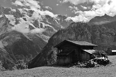 Pop Art - Swiss Alpine Cabin by David Broome