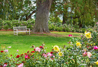 Roses Photos - Take a Seat - beautiful Rose Garden of the Huntington Library. by Jamie Pham