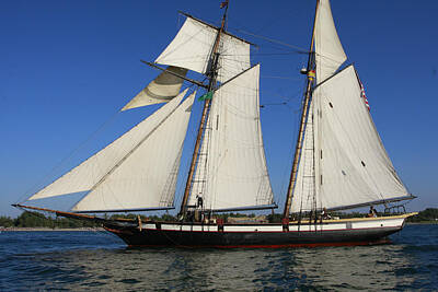 Negative Space Rights Managed Images - Tall Ship Lynx Royalty-Free Image by Bryan Davies