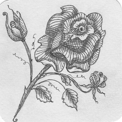 Roses Drawings - Tangle Rose 1 by Quwatha Valentine