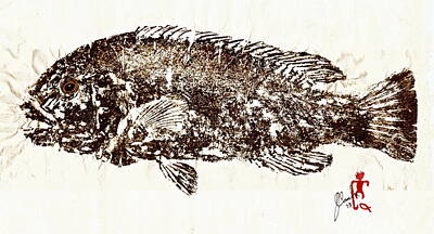 Ring Of Fire Royalty Free Images - Tautog on Rice Paper Royalty-Free Image by Jeffrey Canha
