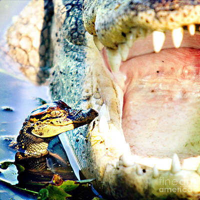 Reptiles Photos - Teeth and Trust by Katya Horner