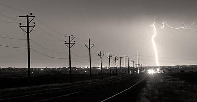 James Bo Insogna Rights Managed Images - Telephone Poles Black and White Sepia Royalty-Free Image by James BO Insogna