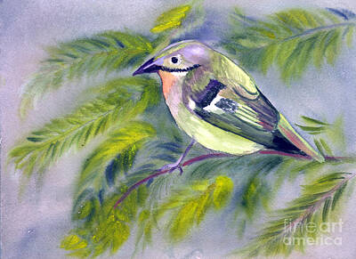 Paintings - Tenerife Goldcrest by Donna Walsh