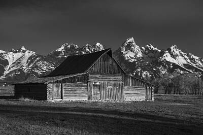 Sports Tees - Teton Morning B and W by Ross Murphy