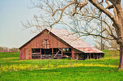 Western Buffalo Royalty Free Images - Texas Barn Royalty-Free Image by Savannah Gibbs