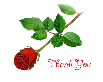 Roses Royalty-Free and Rights-Managed Images - Thank You Card Red Rose by Irina Sztukowski