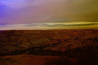 Birds Photo Rights Managed Images - The Badlands Royalty-Free Image by Jeff Swan