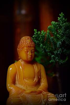 Paint Brush Rights Managed Images - The Buddha Knows Royalty-Free Image by Paul Ward